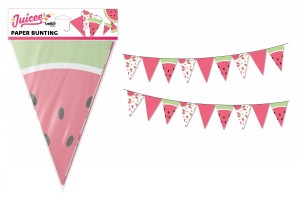 WATERMELON PAPER BUNTING 3m